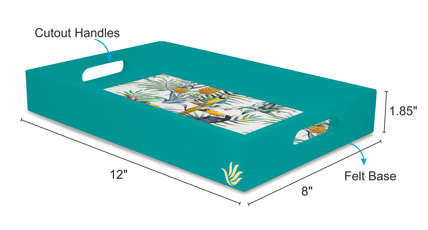Toucan Rc Tray